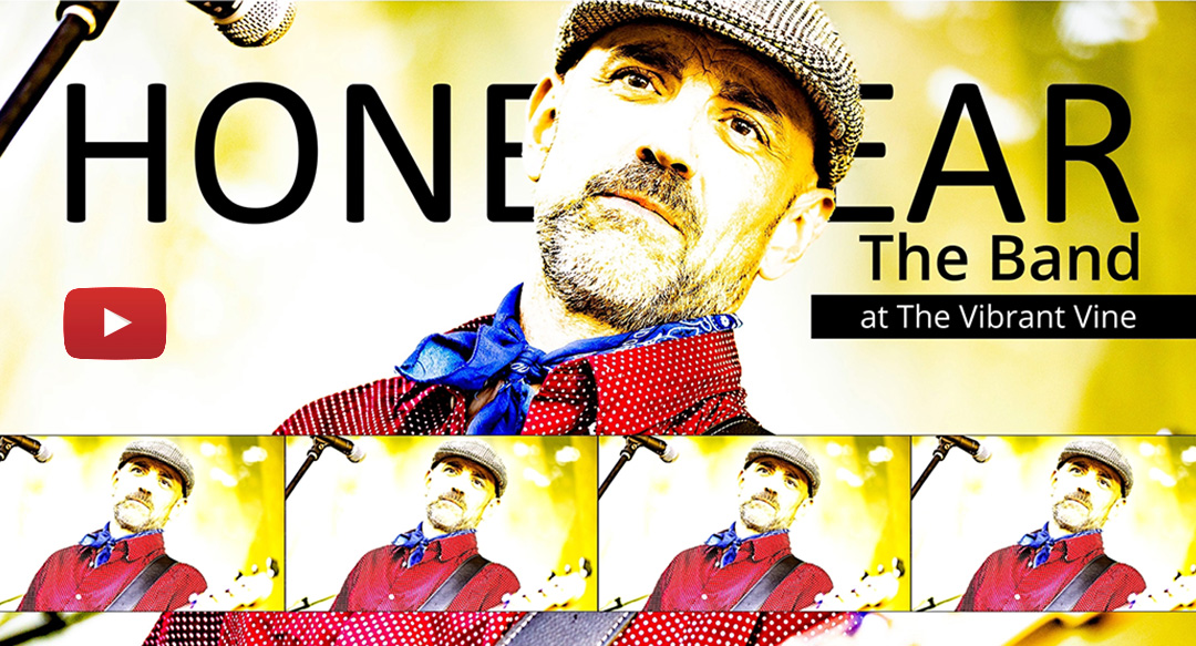 Review of Honeybear, The Band at The Vibrant Vine 2025 | All images copyright (c) 2025 Miles Overn Photography