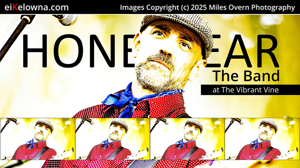 Thumbnail for Honeybear Review Video